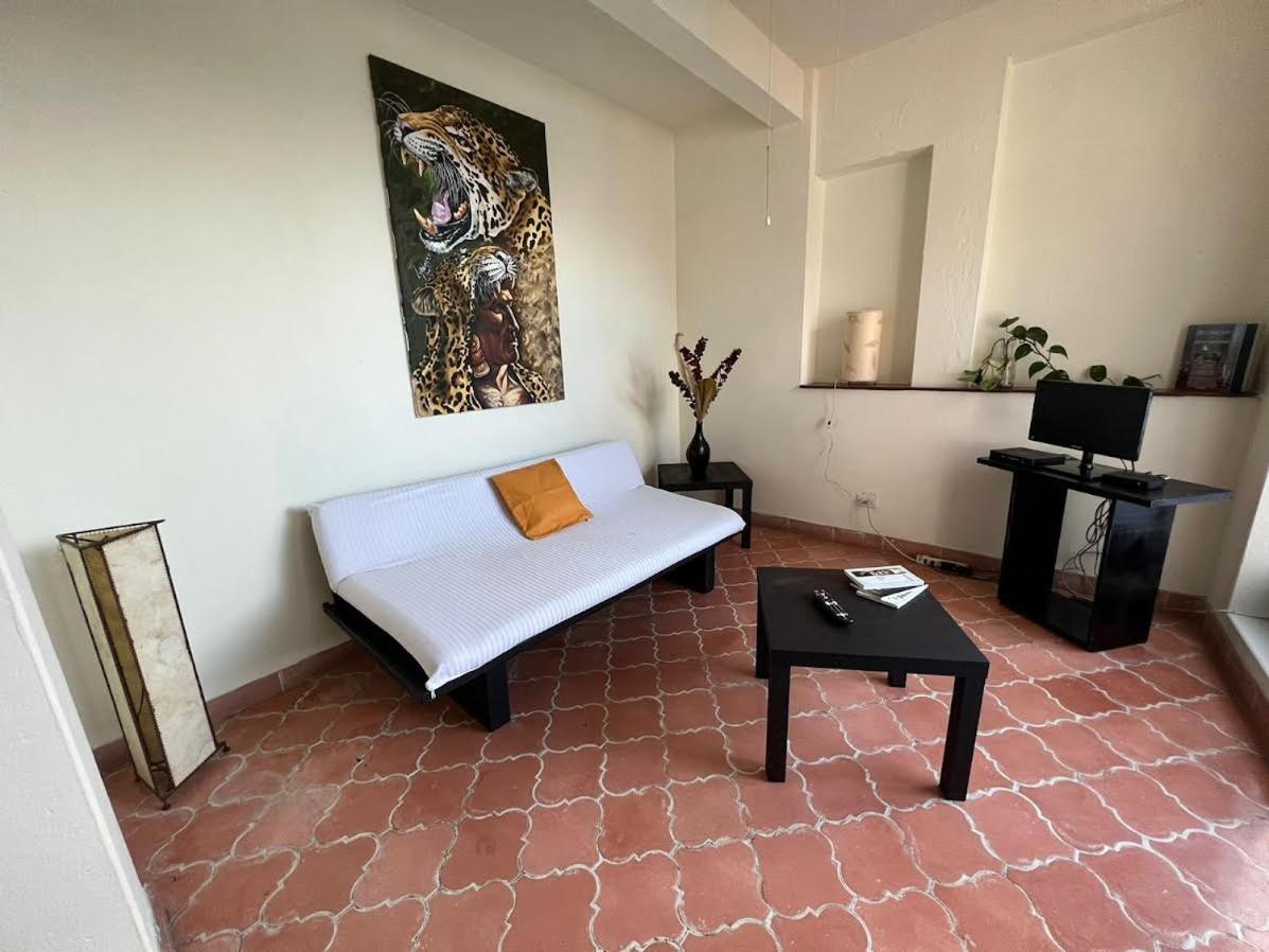 Aparthotel Sarita Centro Historico Sma San Miguel de Allende Zewnętrze zdjęcie