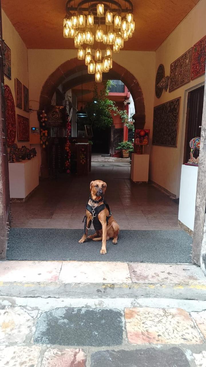 Aparthotel Sarita Centro Historico Sma San Miguel de Allende Zewnętrze zdjęcie